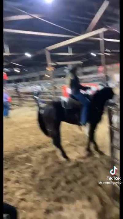 What do you think about horse girls?