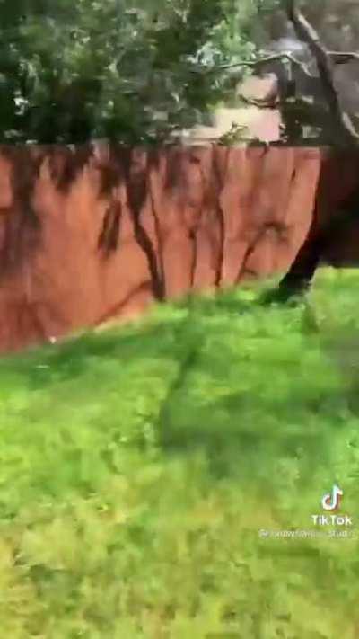 Absolutely obsessed with this