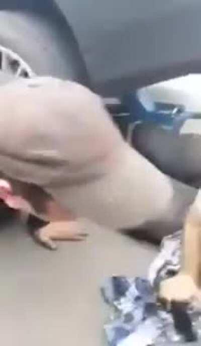 Como é que esse cara ainda trabalha de mecânico. Créditos:  