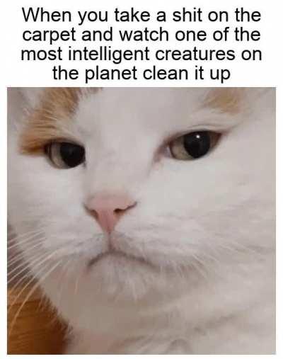 Signature look of superiority