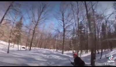 Just a casual hunt in the woods..