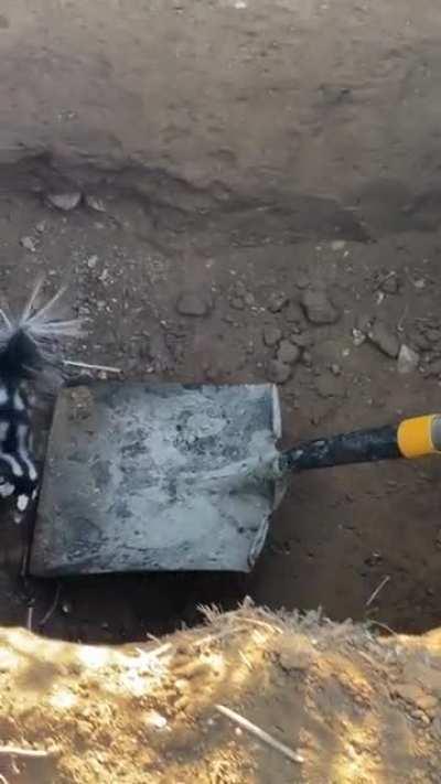 To get out of the hole... or not.