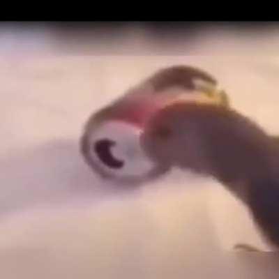 Fuck this can in particular