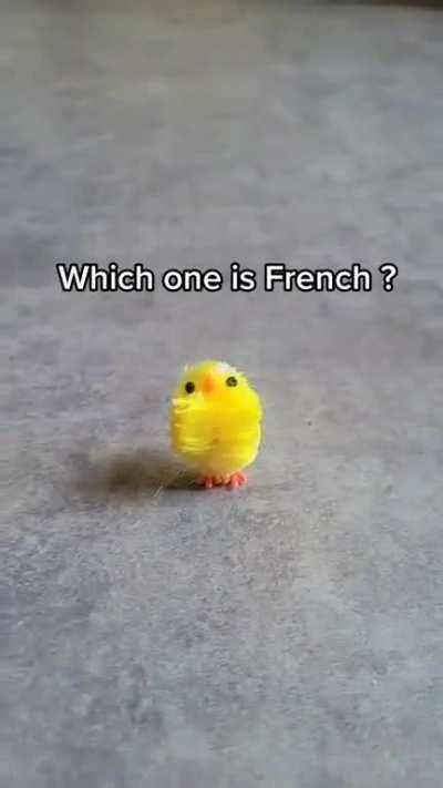 Which one is the French?