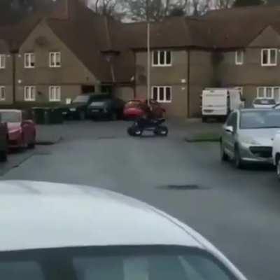 ATV wheelie