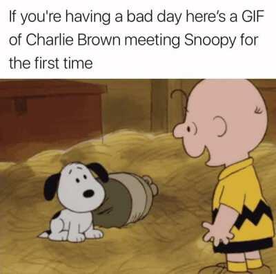 Have a great day folks