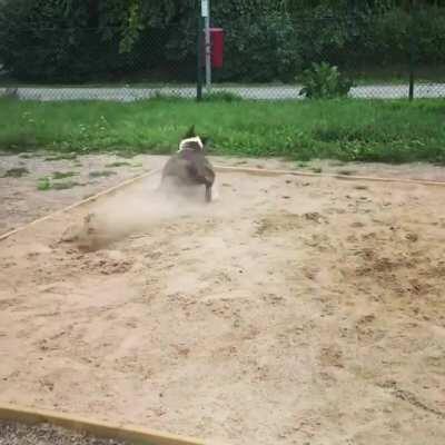 Rarely seen maneuver perfectly executed.