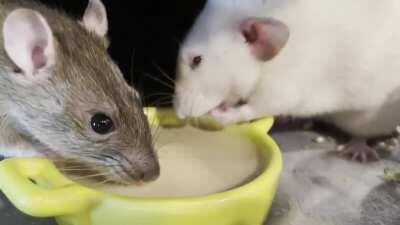 Little Grabbers = Little Spoons for Ruby