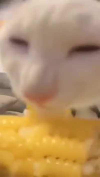 me with the dead hooker in an allyway