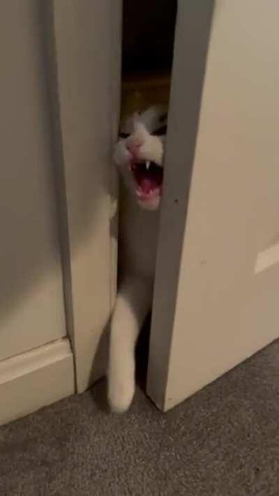 She was VERY upset that I closed the door for a conference call.