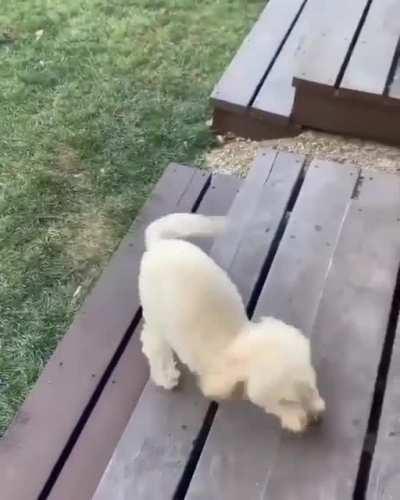 Happy girl , do you like her❤