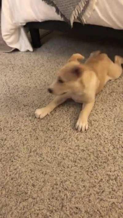 Slidin’ into your DMs!