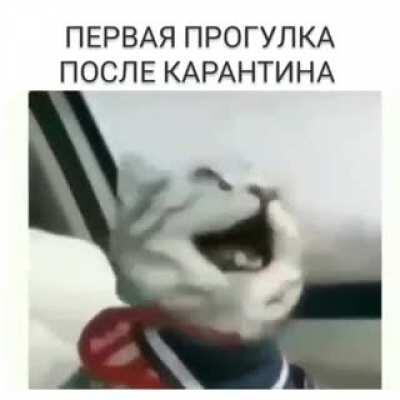 guys help my grandma sent me this