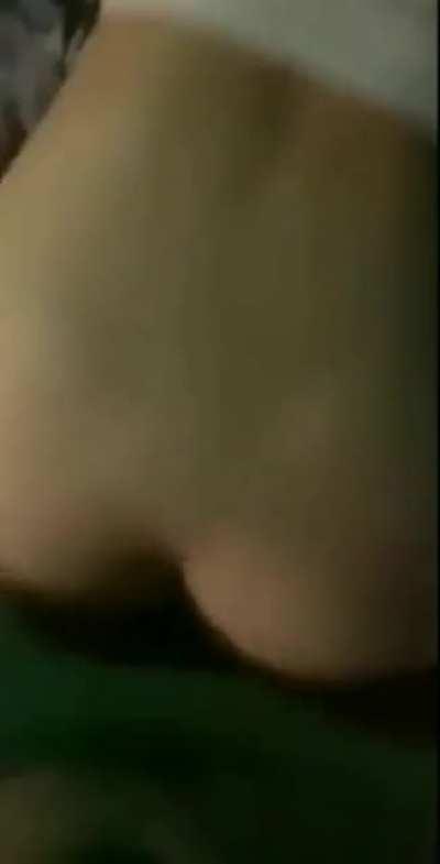 Evie and Ellie getting trained on the lawn