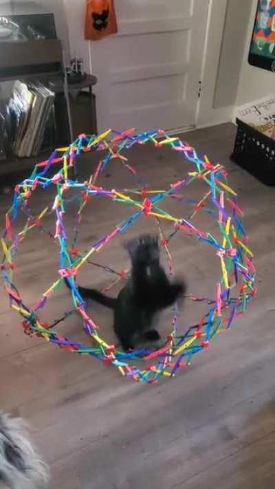 didn’t really think that one through..