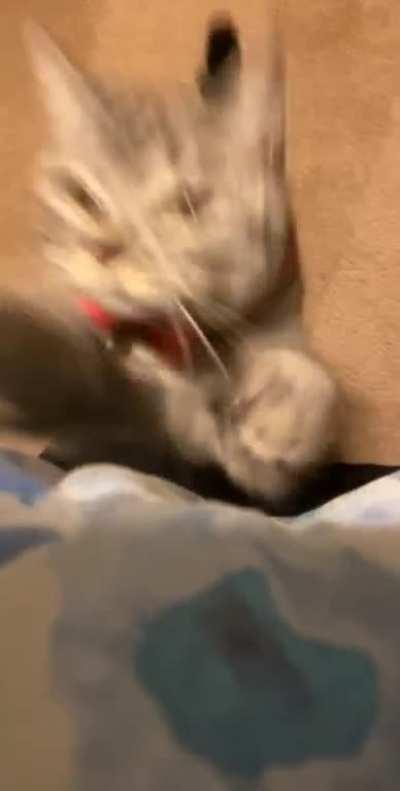 the attack eyes and the attack (attempt)