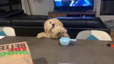 I’m living with Muppets.