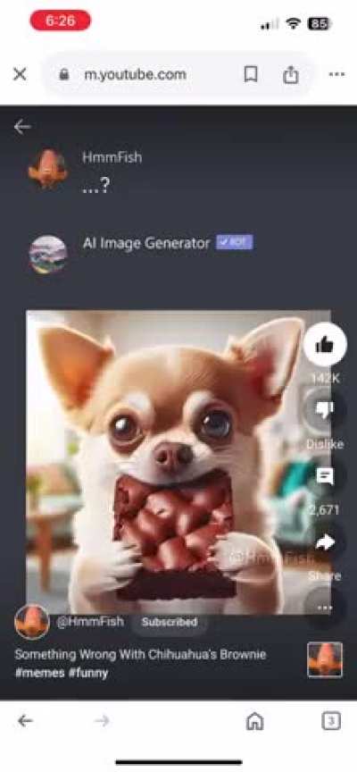 Chihuahua’s brownies are screwed up…