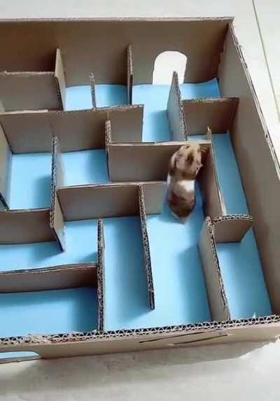 When Furball gets cata 30