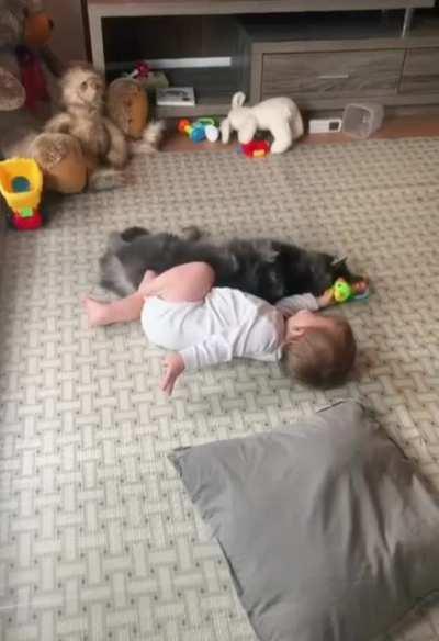 Mayson and Pouf -- Best friends since day 1