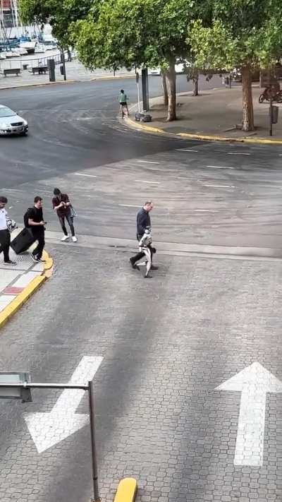 Llegaron los robots humanoides a la Argentina y apareció uno caminando por Puerto Madero