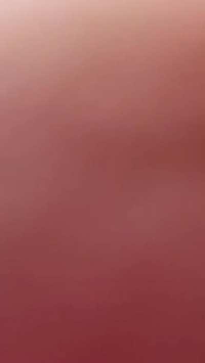 the best proportions to please your sight