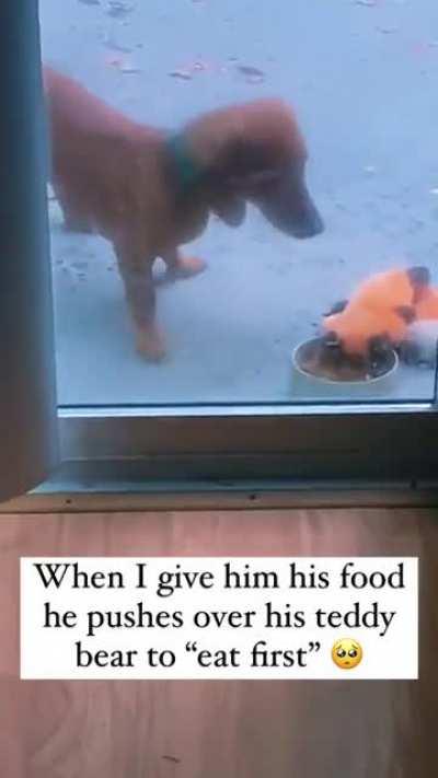 Here Teddy, you may eat first.