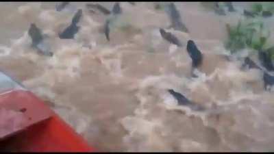 Nothing more relaxing than a gentle paddle