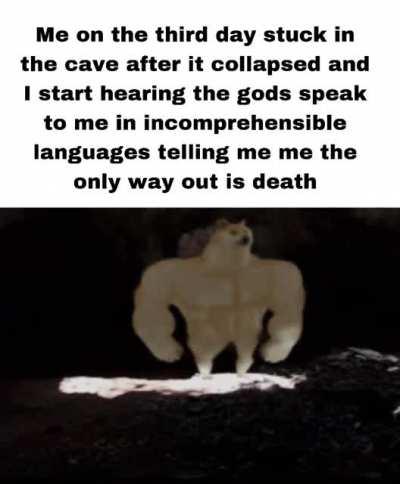 They keep getting louder💀