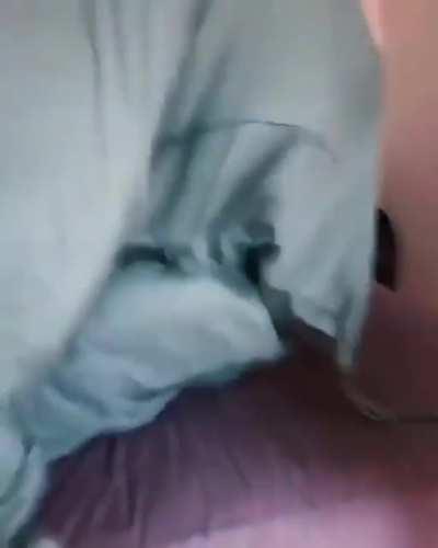 When you Troll your Brother: