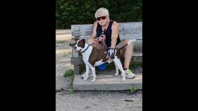 I Arise From Dreams of Thee by Percy Shelley as spoken by Larry Hollman