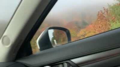 Car ride with MissLexa