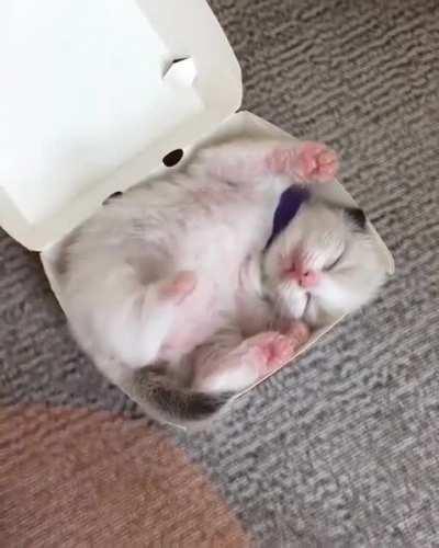 There's a little something in the box