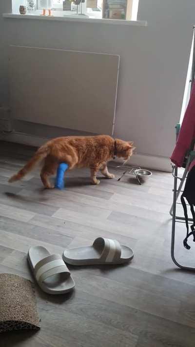 This brain cell has had an eventful day