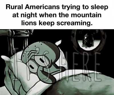 Keep it down out there will ya?..