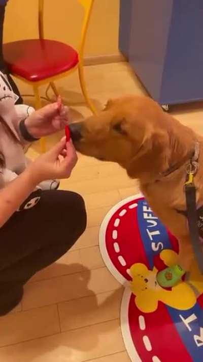 Choosing her own Build-a-Bear