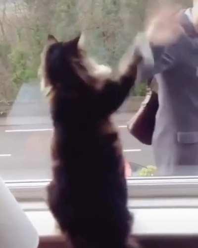 Greetings to old friends.