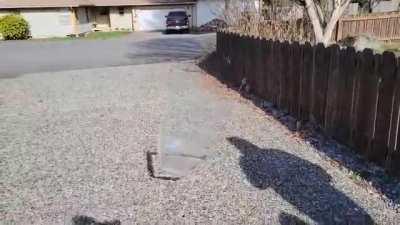 Son wanted to contribute