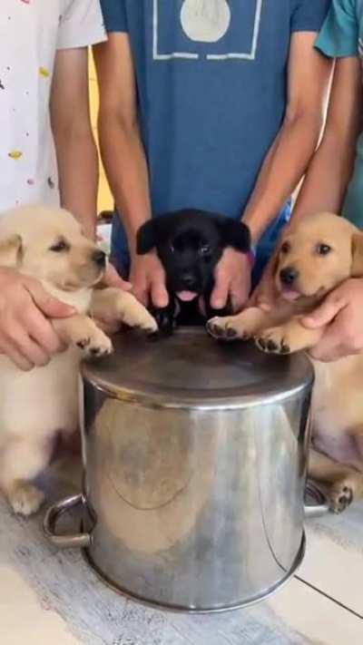 New Kids in the Block, 2022