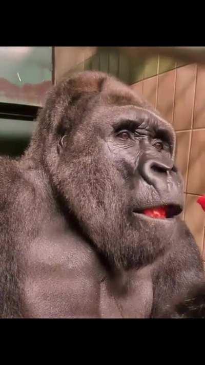 Was that one of mine? Yeah it was…nice.