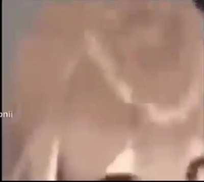 Watch the little birb go