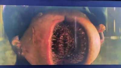 Thanks, I hate Doom Patrol