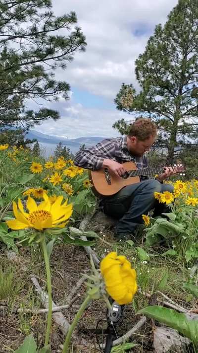 Thanks so much for the encouragement on the last video...here is another track from 