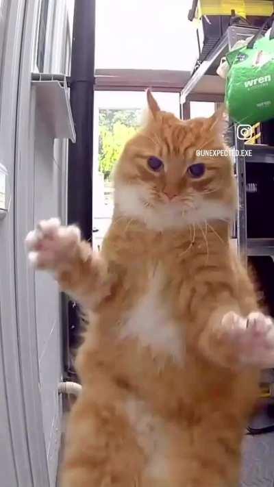 Greed lead to the wunks downfall