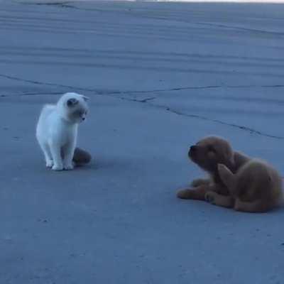 I'm just scratching my ear