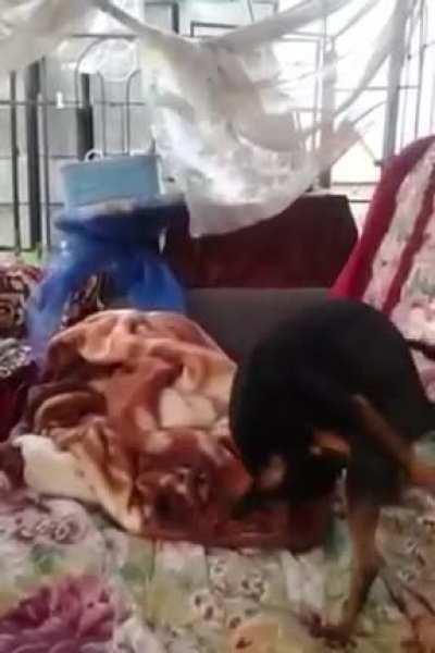 Holup, I did not see that cumming....