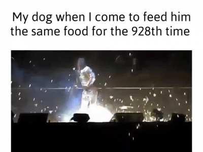 Babe wake up new Live aus Berlin lore came out