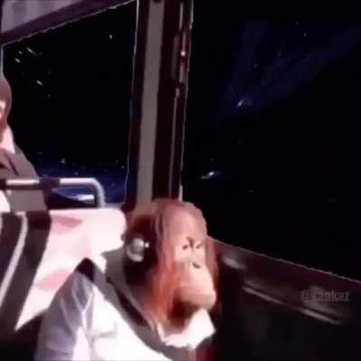 thinking about monke life