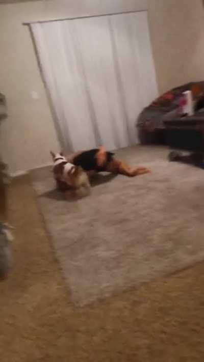 All girls are afraid to try new things . . . at first