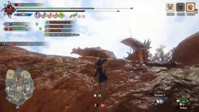 Some days I like to think I'm good at Monster Hunter. Then this happens